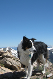 Best Summit Hikes in Colorado by James Dziezynski