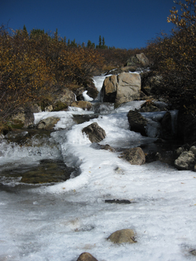 An icy start on the trail to Mount Harvard