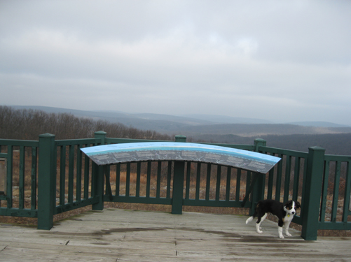 Fremont taking in views of the Ozarks. 