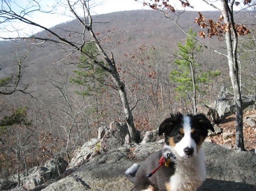 Views of the Ozarks open up along the Mina Falls trail. 