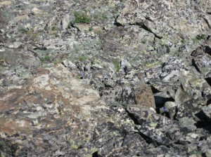 Mount Oklahoma ptarmagin