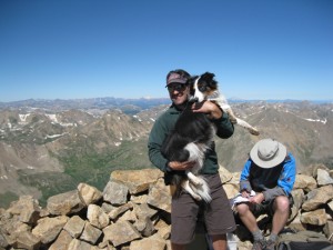 border collie mount elbert