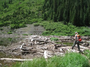 Snowmass trail log jam