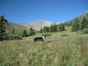Fremont en route to San Luis Peak.