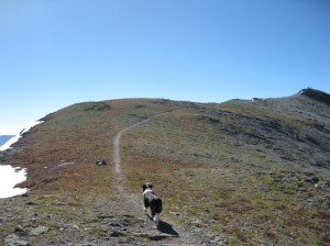 handies peak summit approach