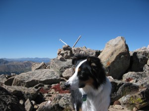 BArd Peak Summit