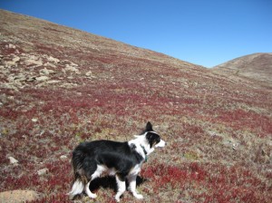 Robeson Peak traverse 2