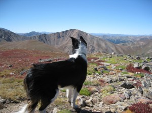 Engelmann Peak with Parnassus in the background