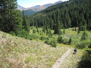 Return to Watrous Gulch
