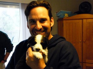 border collie Fremont