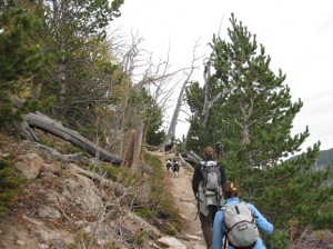 Meadow Mountain trail colorado