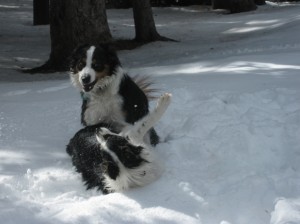 Fremont and Tillie Battle