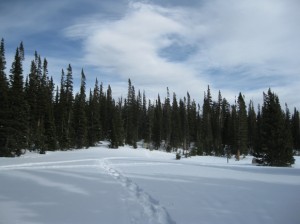 The Blue Lake Trailhead Mount Audubon