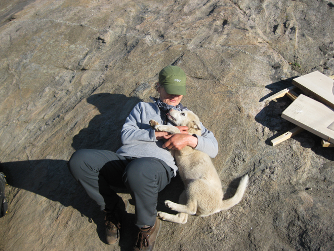 Tasillaq Greenland Puppy