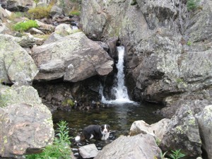 Pool along Mica Creek