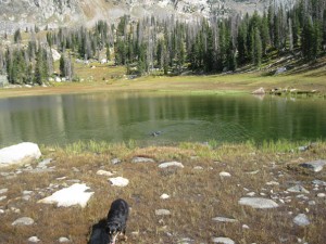 Swimming in Mica Lake, Steamboat Springs, Colorado.