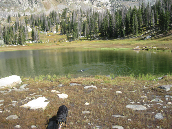 Swimming in Mica Lake, Steamboat Springs, Colorado. 