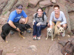 Mount Sanitas dogs