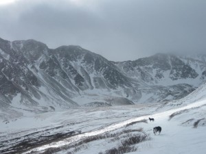 Stevens Gulch in the winter.