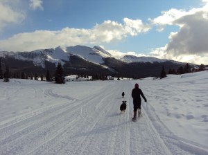 Engineer Pass Colorado