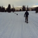 Colorado snowshoe