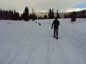 Colorado snowshoe