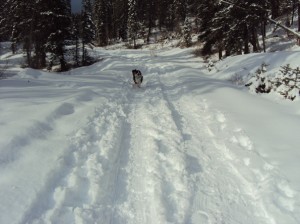 Cascade Creek Road Durango