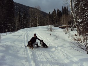 Cascade Creek Road Colorado