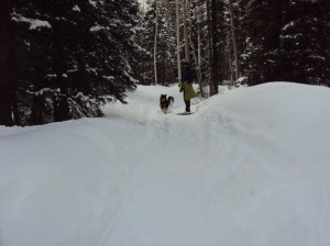 on the trail colorado