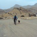 Fruita Dog mountain biking