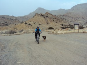 Fruita Dog mountain biking