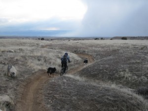Fruita Mountain Biking