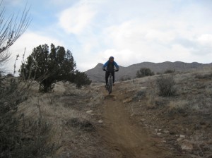 Fruita biking