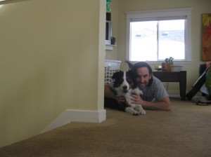 Fremont border collie