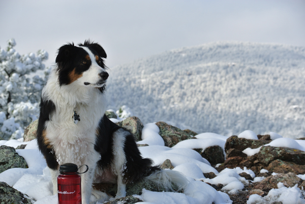 Boulder’s Overlooked Hikes