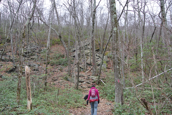 Mount Frissell scramble