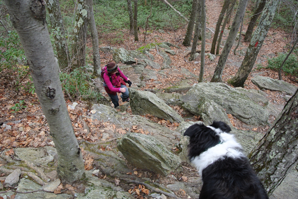 Mount Frissell scramble