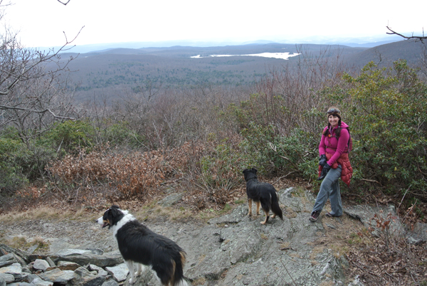 Mount Frissell view