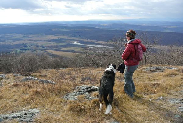 Hudson Valley from Brace Mountain