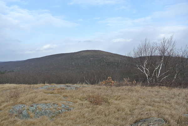 Mount Frissell Connecticut State Highpoint