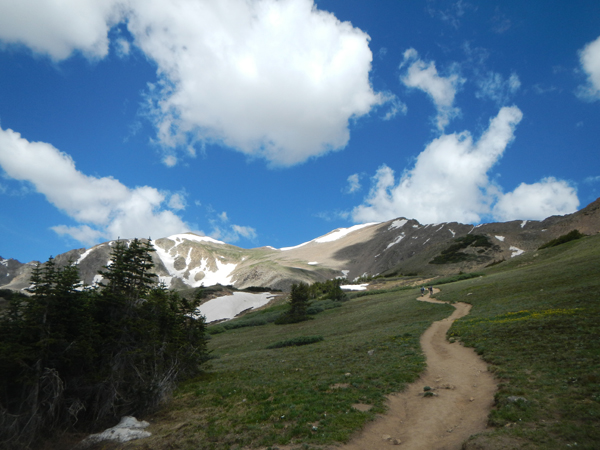 Pettingell Peak from Herman Gulch