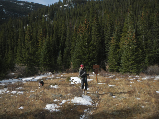 Gibson Lake Trailhead Grant, Colorado