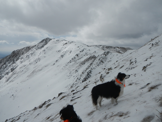 Whale Peak 13,078 ft. Trip Report