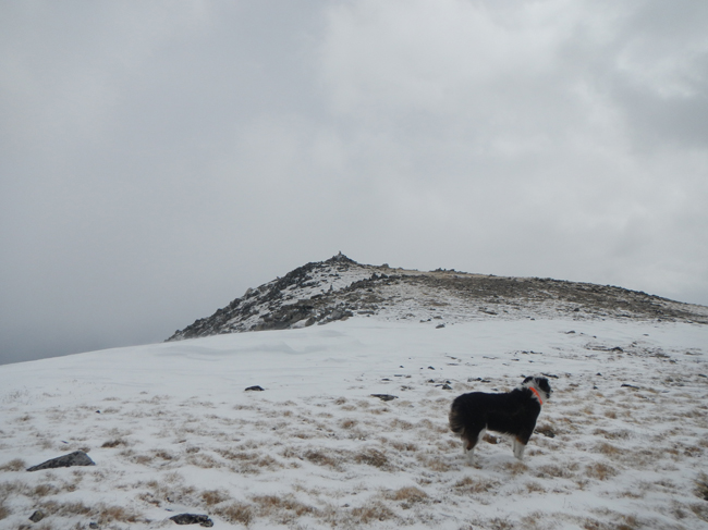 Whale Peak summit look