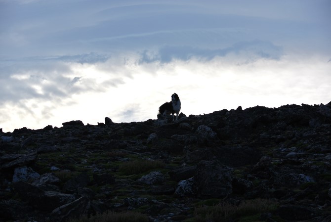 Argentine Peak Colorado