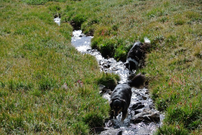 A secret creek is a great place to cool the paws. 