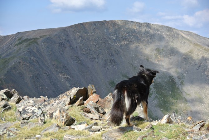 Mount Wilcox Colorado summit