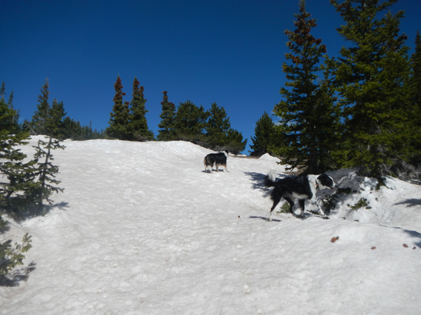 Snow overtook the 4x4 near the top but it was still easy to follow.