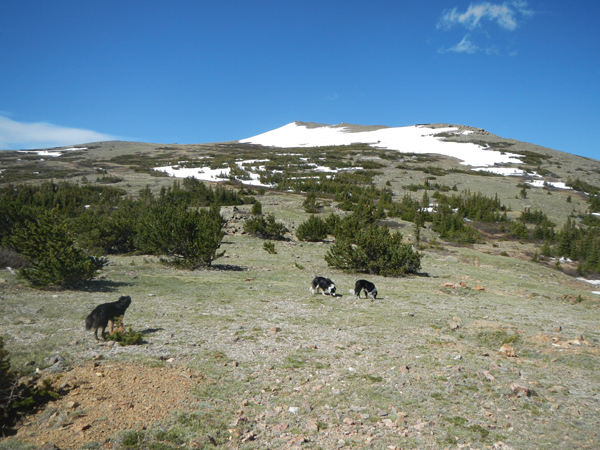 Past the snow. Good camping possibilities!