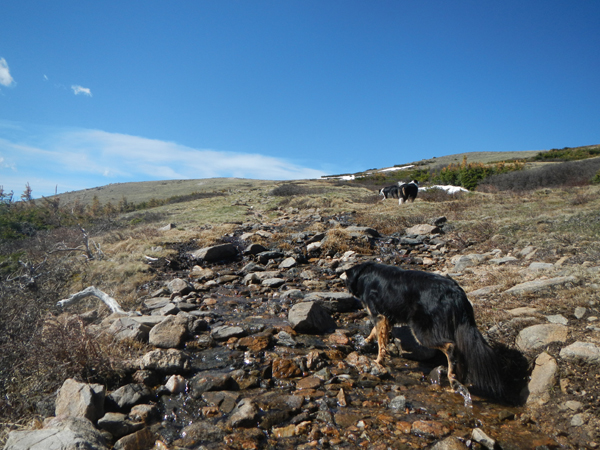 A stream en route to the peak. 